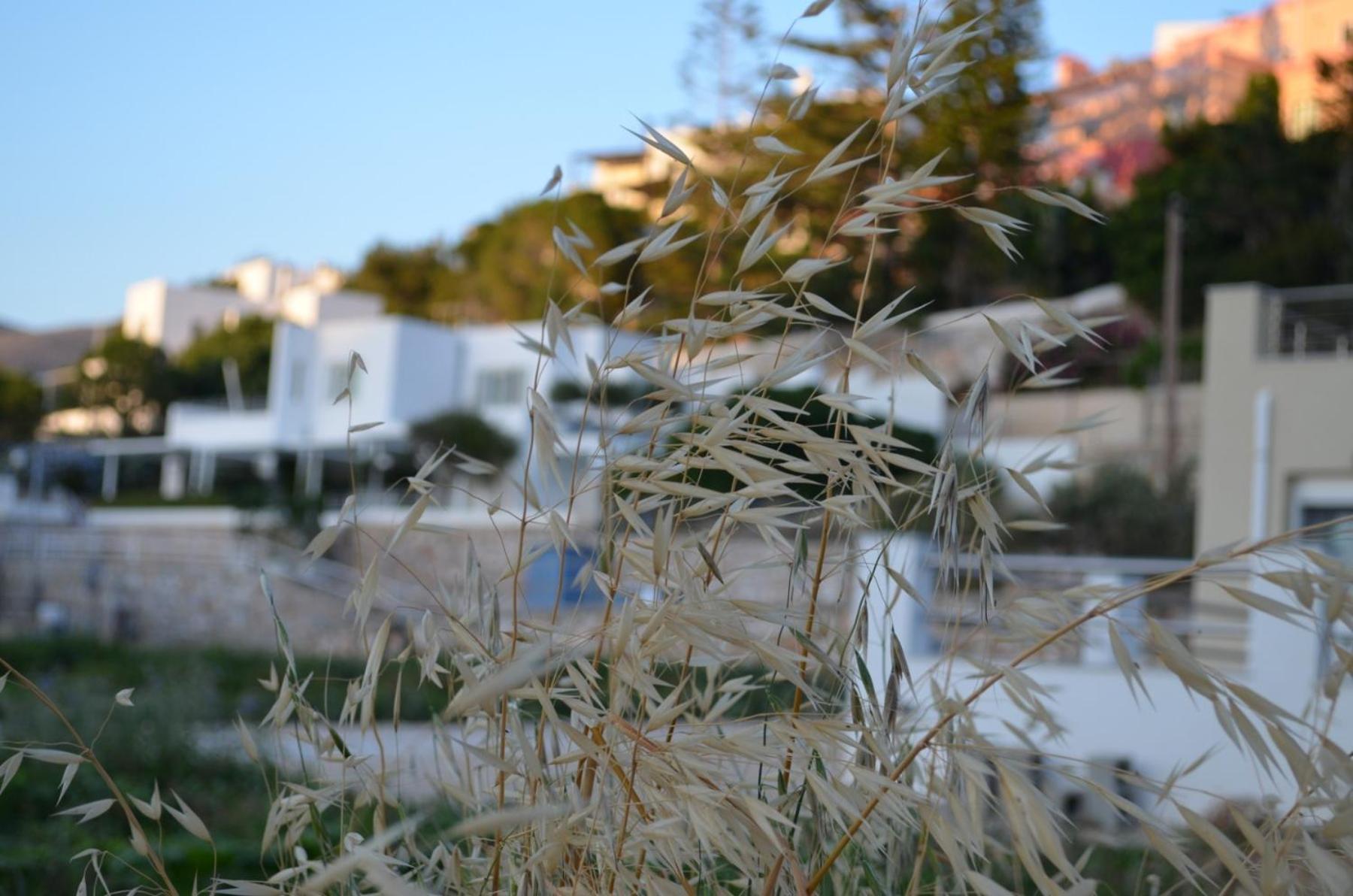 White Lotus Seaside Apartment 키니언 외부 사진